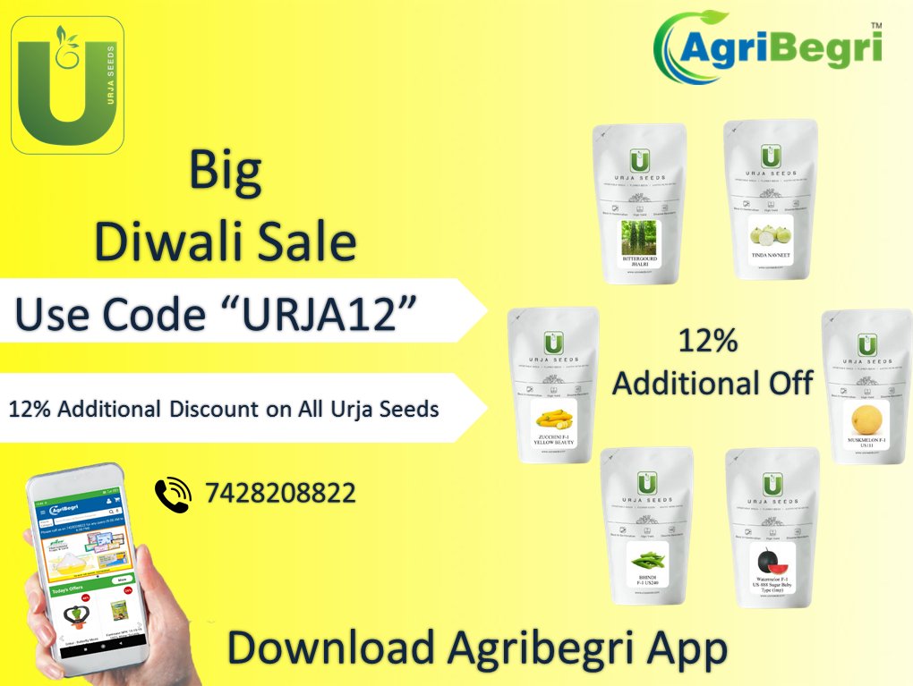 AgriBegri's tweet image. #bigdiwalisale #agrostore #farmers #urjaseeds