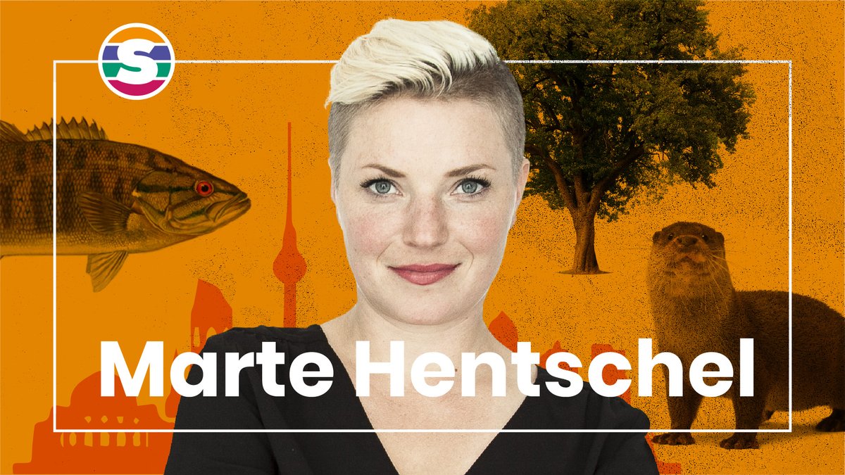 shemakes_eu's tweet photo. Today is the day! Tune it at 17:30 CET for #shemakesvoices Ep. 2 with @HentschelMarte from @SqetchEurope interviewed by @KeHeMa from @matrixgmbhDE. 
🔗https://t.co/JdXQX0qyCv https://t.co/uE3WuXjNKy