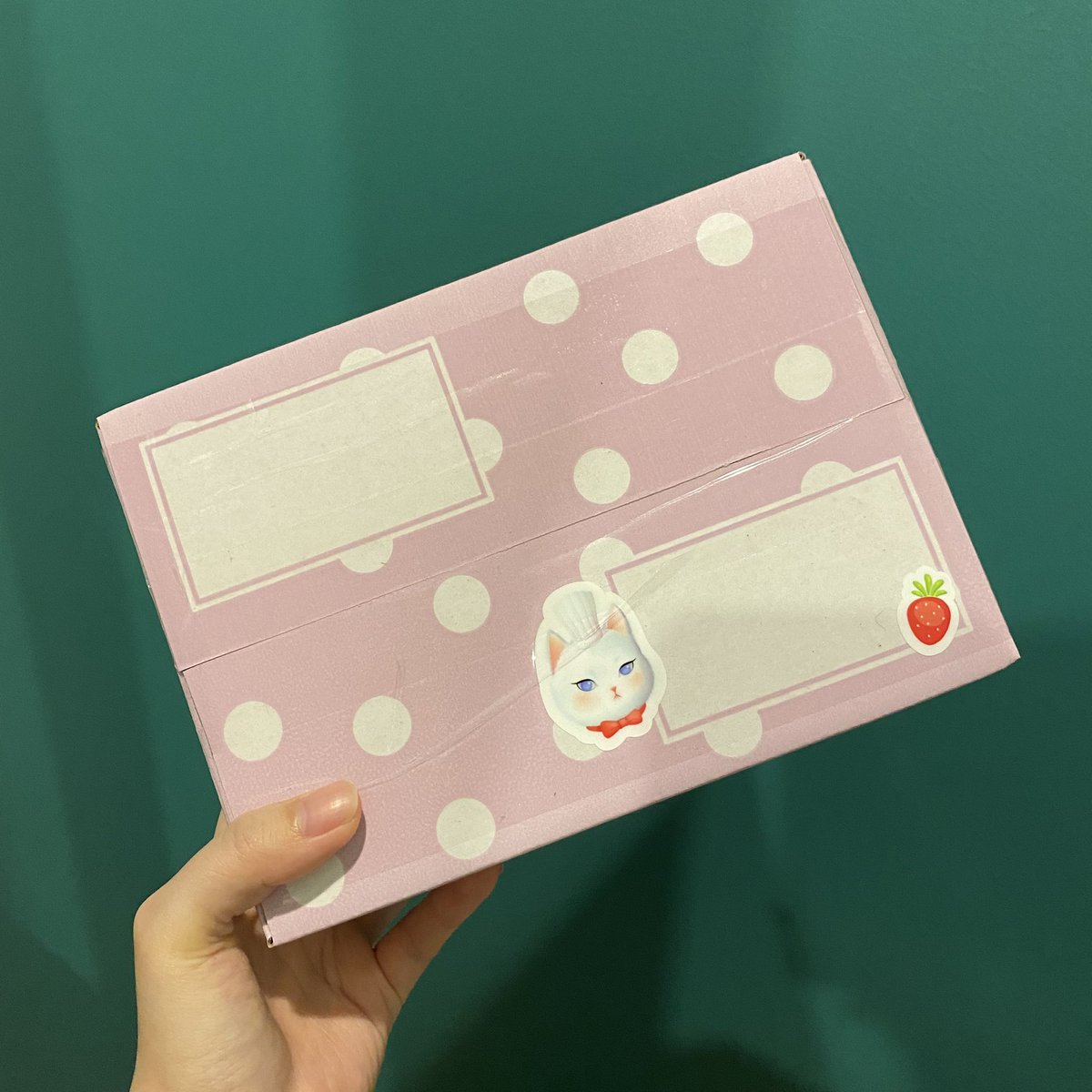 🎀 VIVIENNE WONDER 🧸✨ tweet media