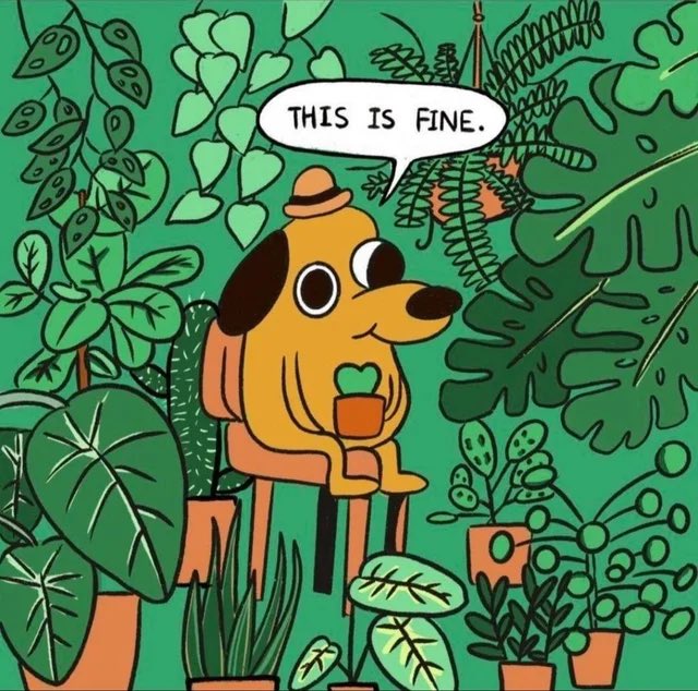 Woke up remembering I’m going to see <a href="/ctfbeats/">CharlestheFirst 🏔</a> in the caverns