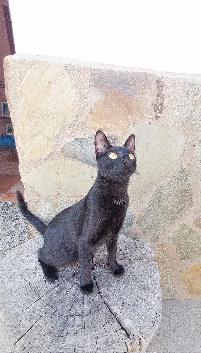 Mi hija si que no necesita filtros 🖤