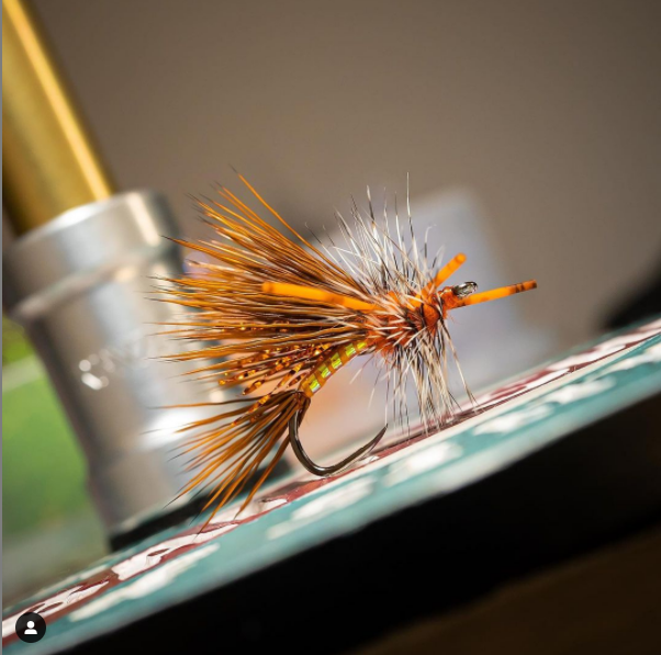 FarmsWhiting's tweet photo. Nice Stimi tied by @jkarnes.fishing
October Floss Body Stimi
Tied up a few of these in preparation for the fall bite. Finally starting to cool off here!!
*
*
#stimulator #stimi #flossbody #fireholesticks #fireholeoutdoors #harelinedubbin #whitingfarms #drydropper #attractorfly https://t.co/B7SOShk80P
