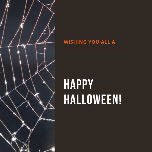 🦇 Happy #Halloween everyone...🦇