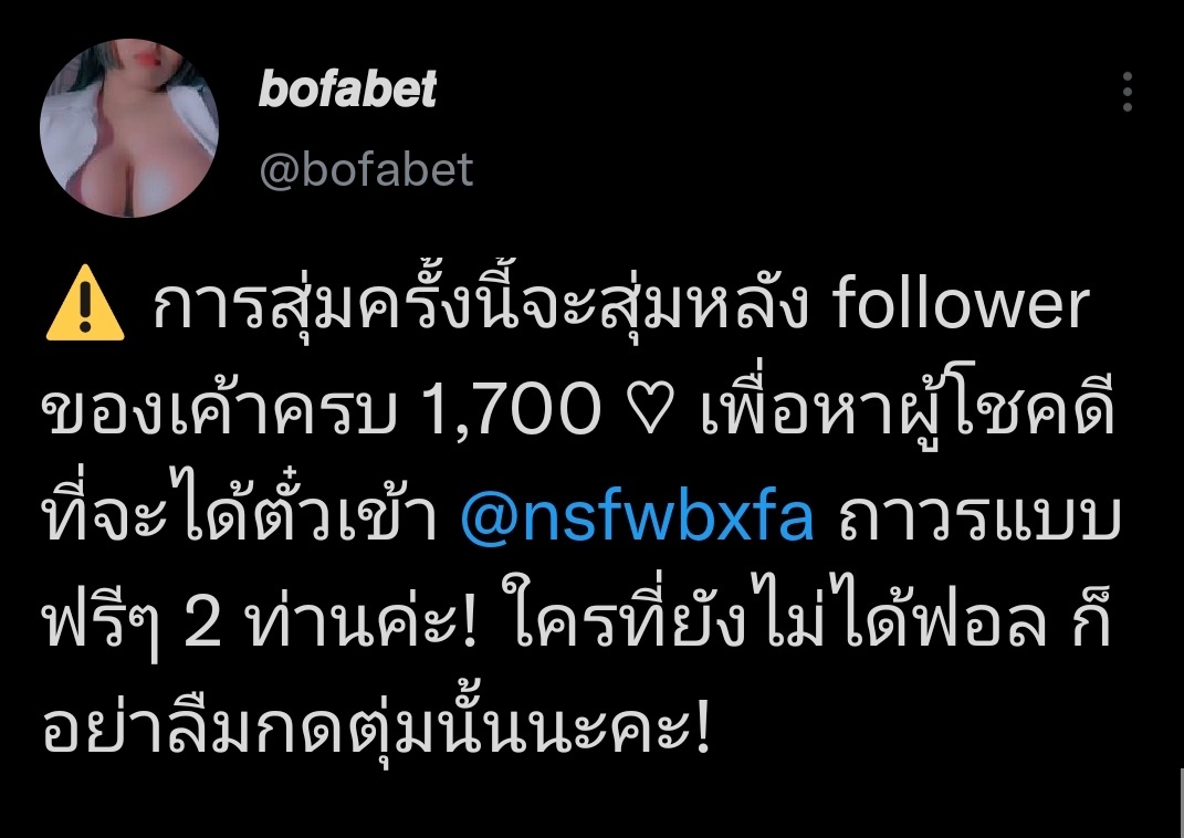 🍮 tweet media