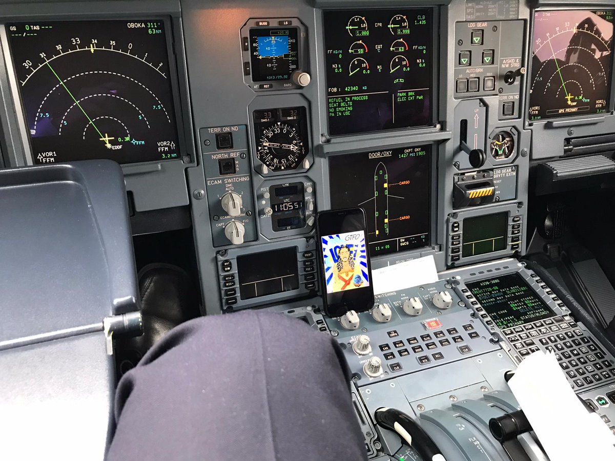 TheGreatsArt's tweet photo. First flight for a Mundi. https://t.co/f2hWQkKTWp