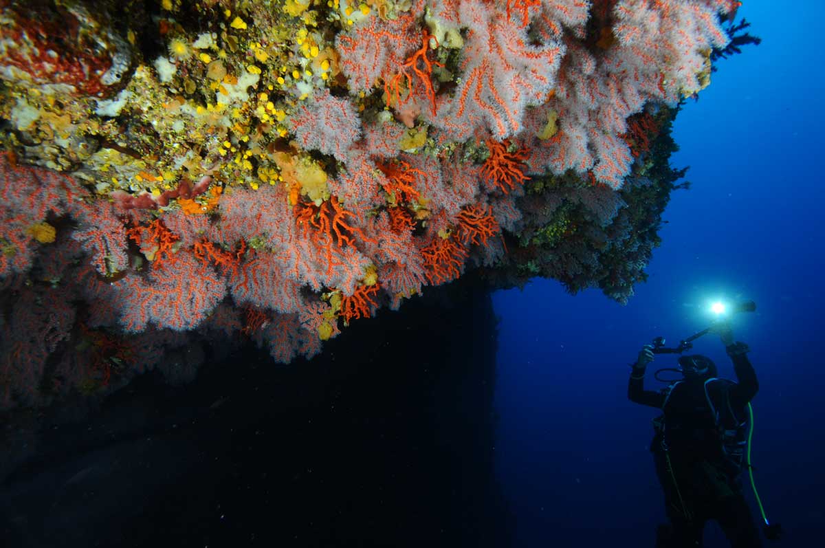 MPA4Change tweet media