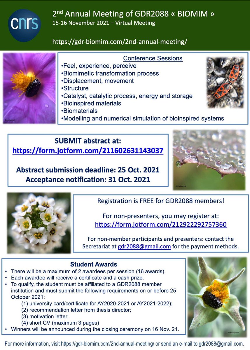 gdrbiomim's tweet photo. 2nd Annual Meeting of GDR2088 “BIOMIM”
https://t.co/qwLNDSiiWS
#bionspiration #cnrs #biomimicry #biomimetics #gdr2088 https://t.co/x6PlTXno23
