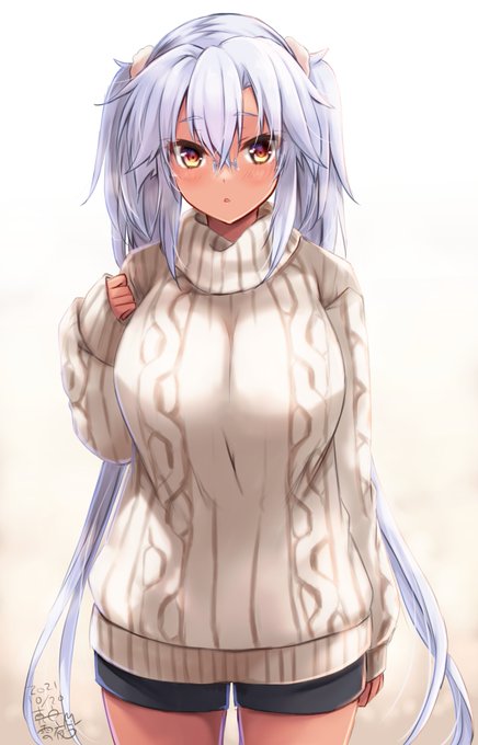 急に寒くなったので武蔵しゃんにセーター着せました('ω') 