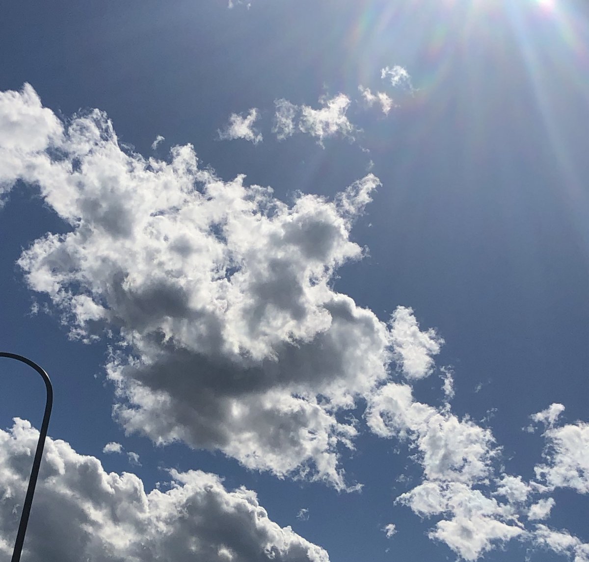 今日の雲、寒いくせに夏っぽかった