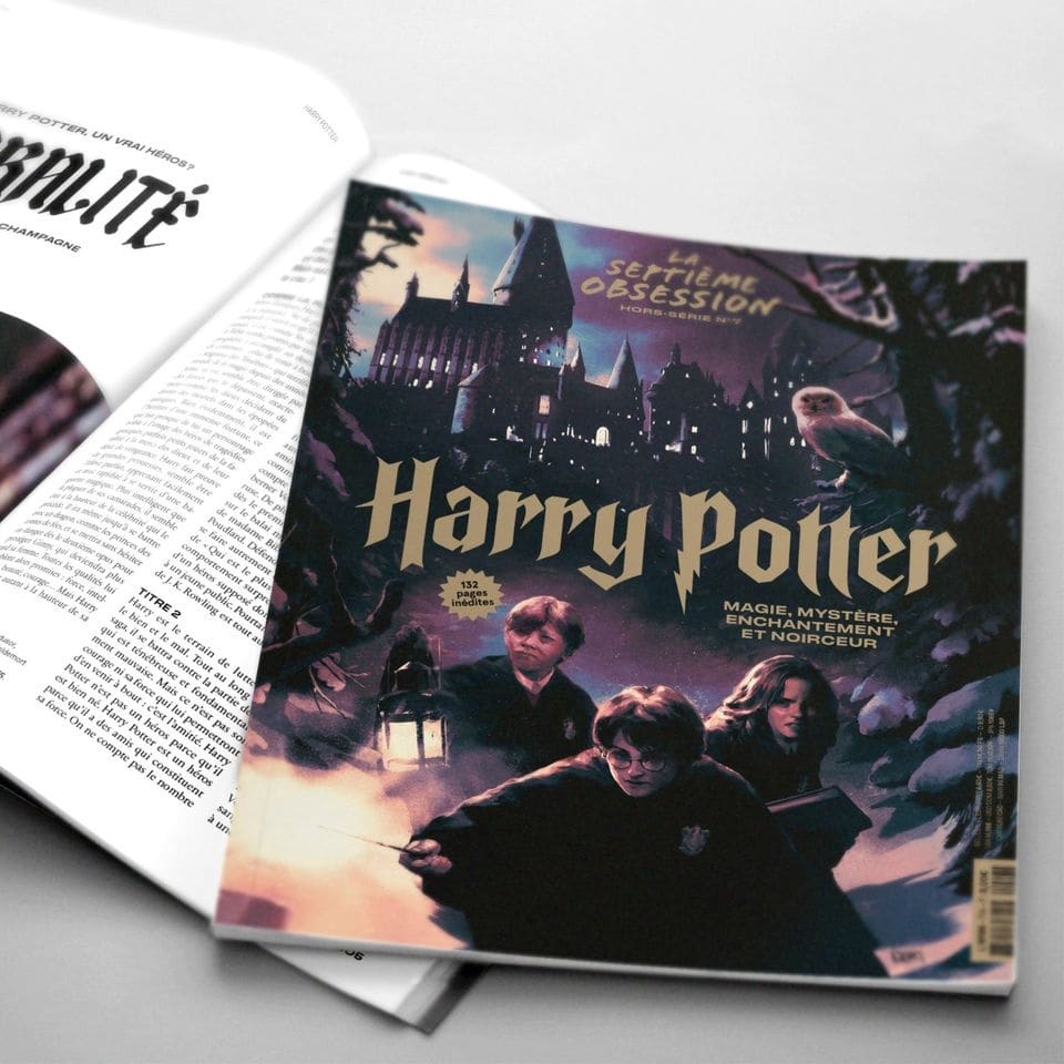 Pleased to share with you the cover I did for Harry Potter's special issue for @laseptiemeobsession, commemorating the 20 years of the saga in the cinema with portraits, mythologies, magical objects, commented filmography... It is now available in the magazine site!