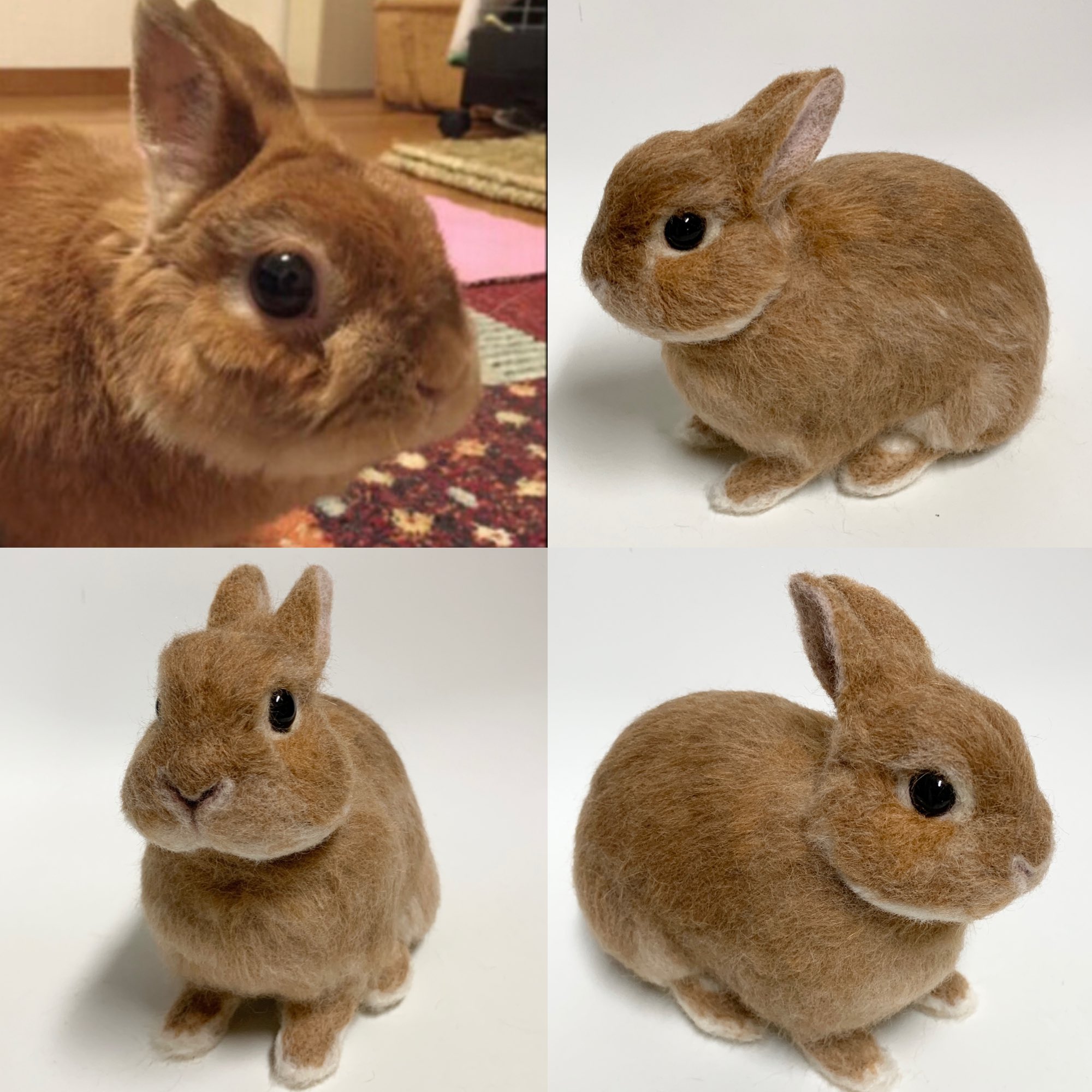 Bunny S Heaven 小ぶりでキュートな男の子のゆずちゃん お耳が短くて ベビーフェイスなお顔を出来るだけ似せれるように気をつけて制作しました うさぎ オーダーメイド ネザーランドドワーフ 羊毛うさぎ 羊毛フェルト うさぎ好きさんと繋がりたい