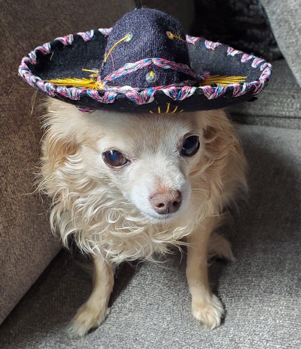 Chillybox tweet media