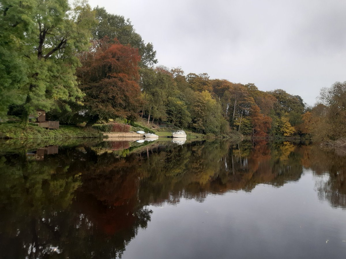 DaveSonic's tweet photo. Great paddle with Yvonne this am, Preston Park to Leven. No wind, a bit of sun & no rain. Plenty wildlife 2 roe deer, fox, 3 greater spotted woodpeckers, Kingfisher, heron & Alfie the cockerpoo 🤣, who was more interested in our sandwiches 🌭
@CRTYorkshireNE
@BritishCanoeing https://t.co/r0AvtN7wmH