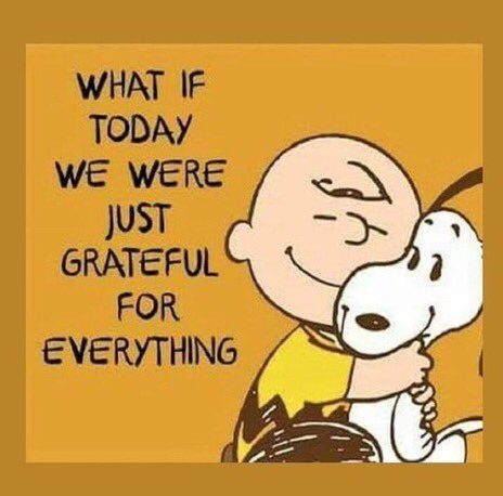 Eline Oftedal (@oftedale) on Twitter photo 