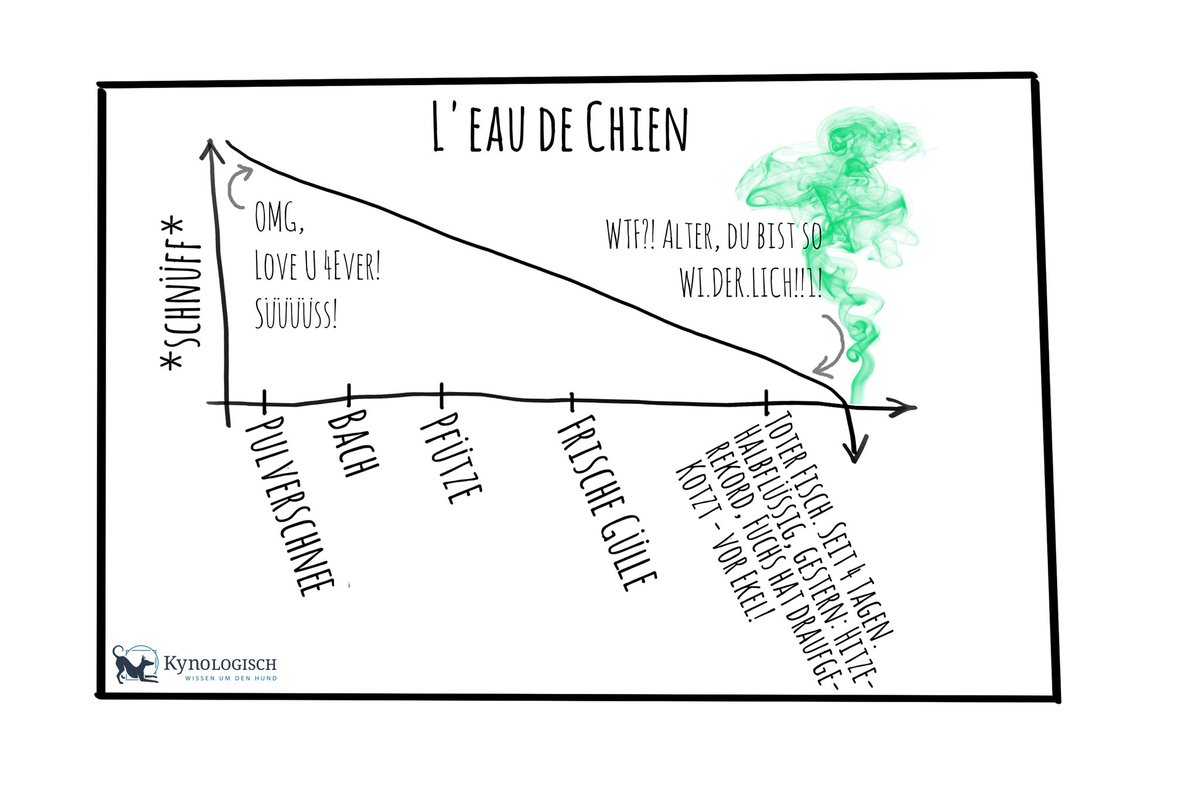 Heute ist Weltstatistiktag!
Das diesjährige Motto lautet: "Connecting the World with data we can trust.” 
In diesem Sinne erinnern wir uns gerne an 2015 und ganz besondere Daten, die wir damals „erhoben“, geprüft und für äußerst vertrauenswürdig befunden haben.😉#weltstatistiktag