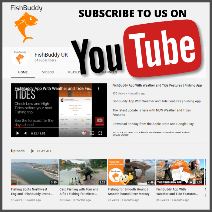 FishBuddy_UK's tweet photo. If you haven't already, check out our YouTube channel and subscribe for more videos, tips and tricks. 👍😁Link here: https://t.co/Ysi5SDGW95 https://t.co/T1tBYbhjX1