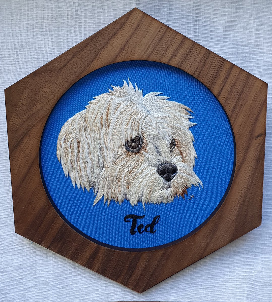 crying_cosplay's tweet photo. ALSO DID I NOT POST MY FINISHED PUPPER PORTRAIT? Allow me to remedy that!
#embroidery #petportraitembroidery #petportrait #threadpainting #dogembroidery #embroiderywip https://t.co/SxD69bWkfZ