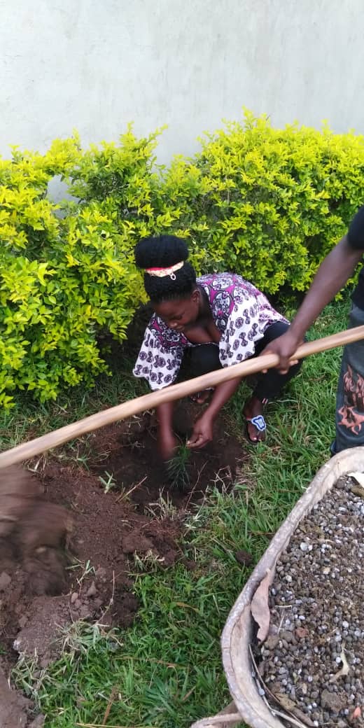 MillionTrees_Ug's tweet photo. #Ibanda,
Rev. Joshua with Christians growing trees at the parish, as we donated to all religious leaders inline with conservation Forestry, under One Constituency One Million Trees Program @ABarirega @DamalieOwori @okidi64 @NKarekaho @ceo_mti_org_ug @BobKakuru #GreeningUgCampaign https://t.co/NkHXXhAFDn
