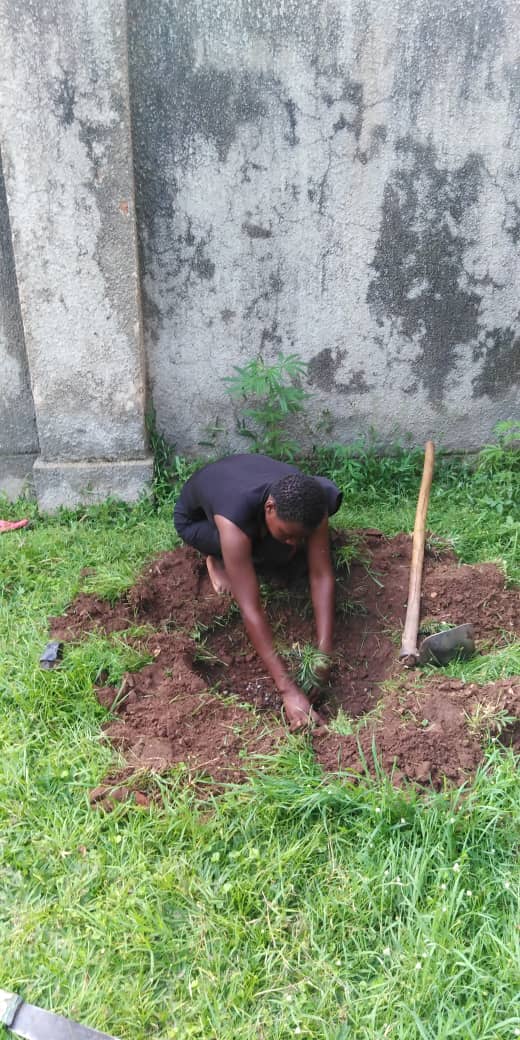MillionTrees_Ug's tweet photo. #Ibanda,
Rev. Joshua with Christians growing trees at the parish, as we donated to all religious leaders inline with conservation Forestry, under One Constituency One Million Trees Program @ABarirega @DamalieOwori @okidi64 @NKarekaho @ceo_mti_org_ug @BobKakuru #GreeningUgCampaign https://t.co/NkHXXhAFDn