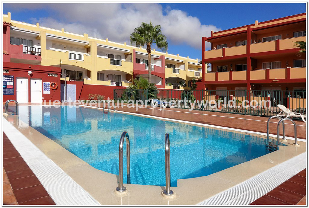 FUEProperty's tweet photo. End-corner furnished 2-bedroom #apartment with pool and garden views from south-facing private terrace for only 75.000€ https://t.co/sxnNA45rb8 #Fuerteventura #property #ForSale #CanaryIsands #wintersun #homeinthesun #realestate https://t.co/zMFsaUlxF4