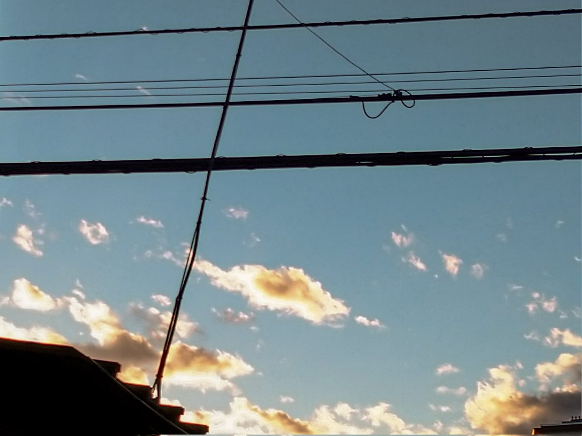 mikkiki_mouse_'s tweet photo. #スマホ越しの私の世界
#アトリエ光画部
#アトリエ部写真展「ゆうがた」 
#聞いて覚えるカメラ塾
#SONYX #XperiaAce https://t.co/pzr7p6XvL0
