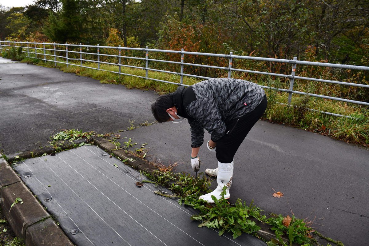 hiroo_kanko's tweet photo. 10/17(日)は国道336号線の花壇整備に広尾町観光協会で参加しました。
#R336 #花壇整備 #寒くなってきた #今夜はナベがいいな https://t.co/s9dz9xZNoc
