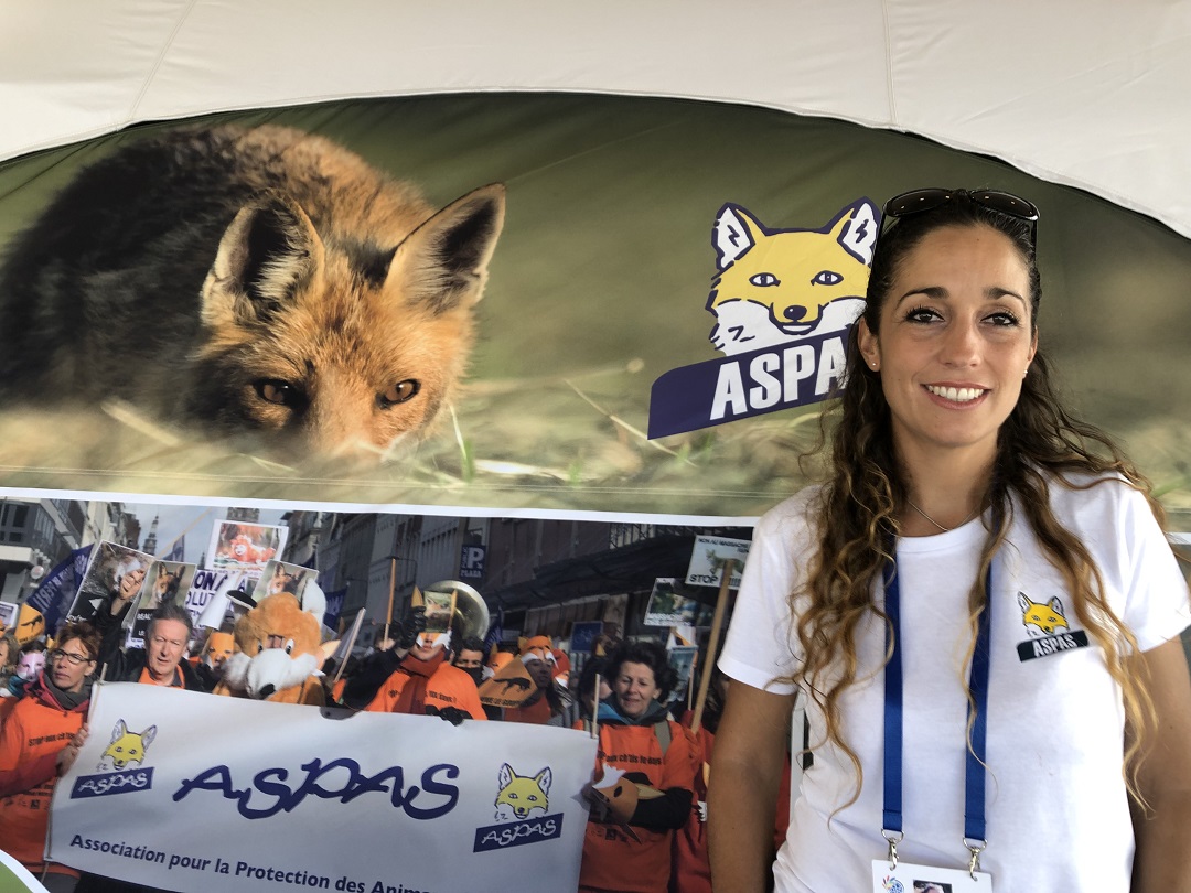 ☑️[Entretien]. Madline Rubin, directrice de l’Association pour la protection des animaux sauvages (Aspas) : "lutter contre une extinction de masse qui est en cours..." ↘️destimed.fr/Entretien-avec…
<a href="/MadlineRubin/">Madline Rubin</a>  <a href="/ASPASnature/">ASPAS</a>