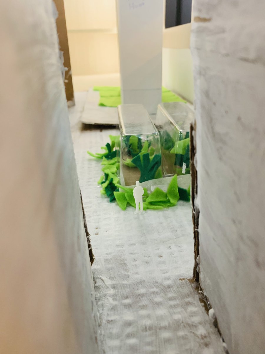 3D printing our own people for our Cities of The Future &amp; The Perfect School Projects <a href="/formlabs/">Formlabs</a> Bloom, the new innovation school, Hong Kong! <a href="/DMakerspaceEDU/">The Makerspace</a> <a href="/Makerspaces_com/">Makerspaces.com</a> <a href="/edutopia/">edutopia</a> <a href="/betamiller/">Andrew Miller Ed.D</a> <a href="/AgencybyDesign/">Agency by Design</a> <a href="/ProjectZeroHGSE/">Project Zero</a>