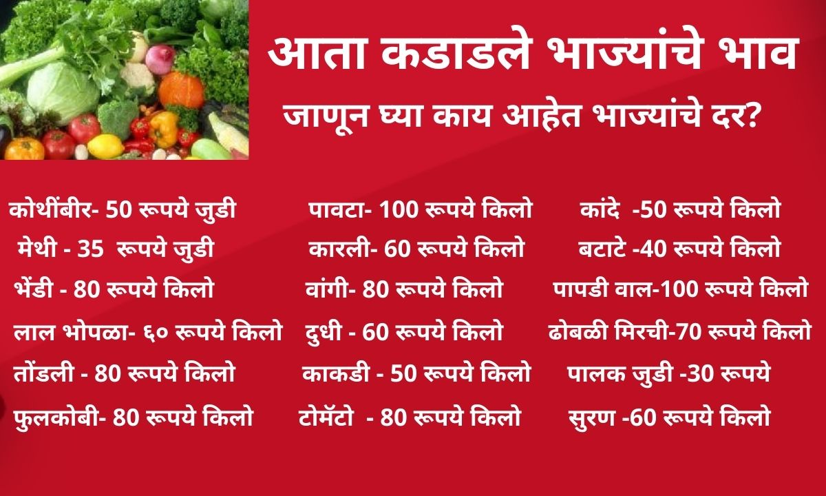 mumbaitak's tweet photo. भाज्यांचे दर कडाडले..
@Pkhelkar @PIBMumbai #Vegitable #Vegitablerates #Vegitableratesnews #MarathiNews https://t.co/8gCokANoOA