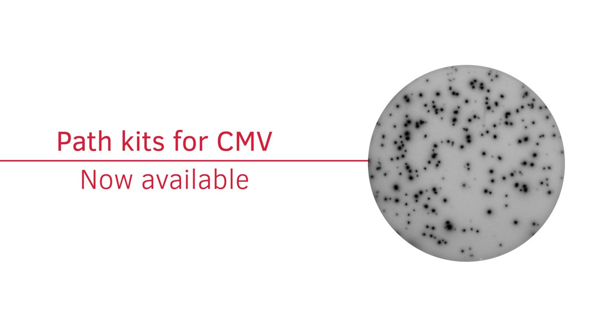 Mabtech's tweet photo. Our Path universe is expanding - this time into a whole new dimension! 

Venture into your own #CMV research with our validated #ELISpot and #FluoroSpot kits: 

https://t.co/pizq6ARYV5 https://t.co/jlYHbM7x3J