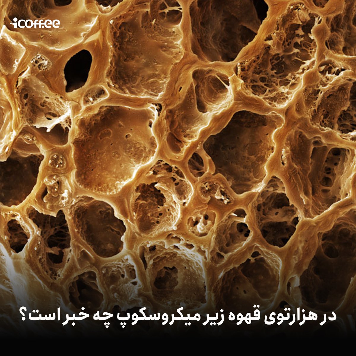 قهوه به طور طبیعی شامل موادی همچون کافئین، آنتی‌اکسیدان‌ها و دی‌ترپن‌ها است. این مواد در کنار یک‌دیگر علاوه بر این‌که طعم بی‌نظیر قهوه را می‌سازند، در آن خواصی ایجاد می‌کنند که روی بدن انسان تأثیرات متنوعی دارد. 

ادامه ~ zaya.io/6pwev
#قهوه_نگار