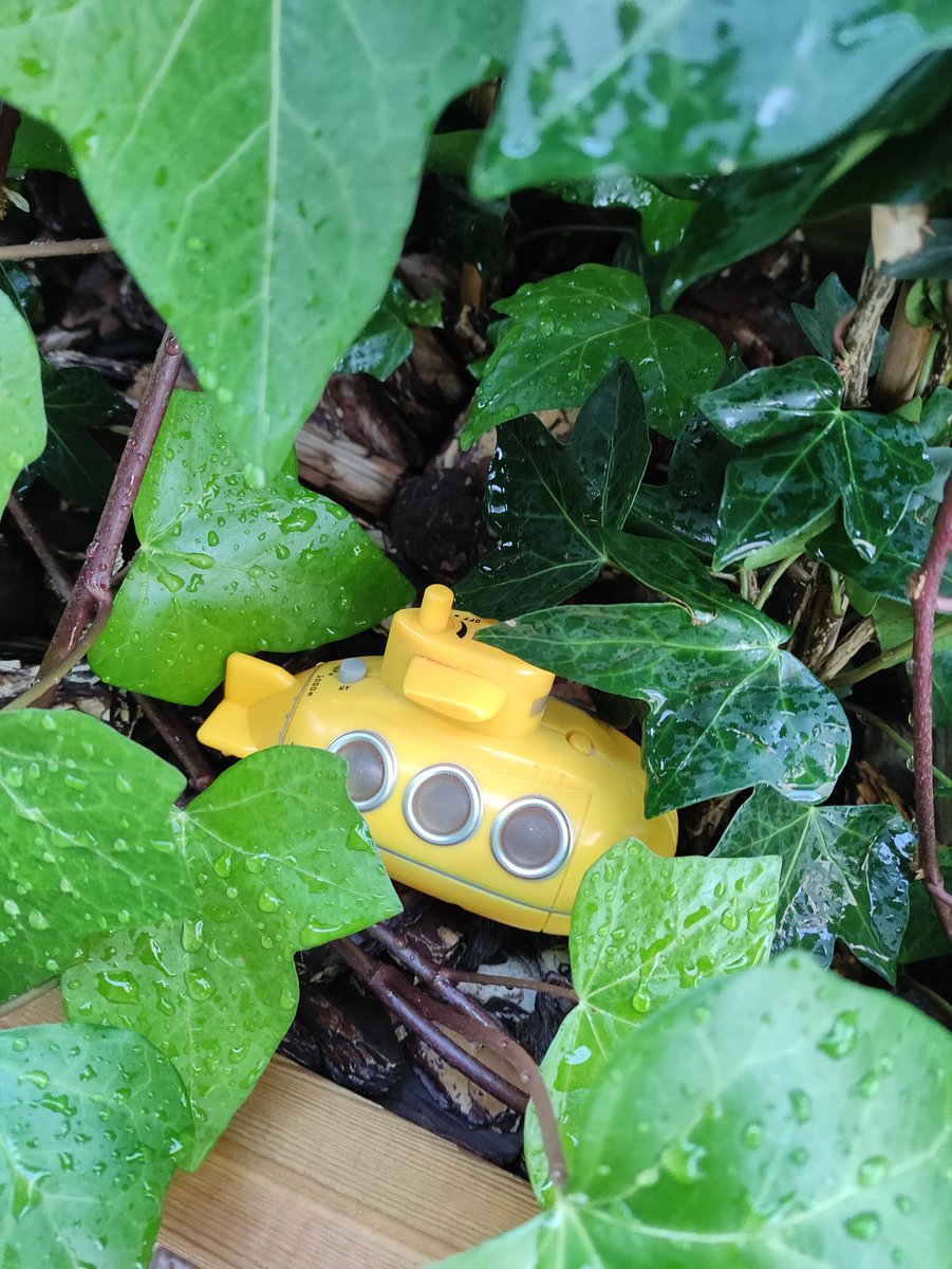 ⚓️Bon dia navegants. Avui #DiaDelXef us esperem a les 12h amb:
➡️Setmana de la #poesia a #Terrassa <a href="/rauxaterrassa/">rauxaterrassa</a> 
➡️Gala solidària de monòlegs a benefici d'<a href="/Asdent_es/">Asdent</a> 
➡️#ExploradorsDeBiblioteques Els 20 anys de la #Bd2
➡️#BonaPinta amb <a href="/nouhairterrassa/">Paco Mata by 9Hair</a> #CourtainBag #CarmeMola