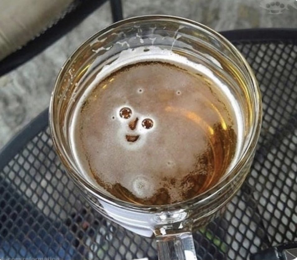 Twapero_SXB's tweet photo. #Twapero_SXB Quand on a dit à la bière de la @BrasserieVallon qu'elle est de sortie demain soir : https://t.co/vs3pFTLZKC