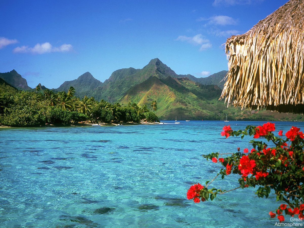 VacationRadar's tweet photo. Vacation View!
#vacationrentals #vacation #trip #view #vacationview #seaview #oceanview #borabora https://t.co/oh27JYLuGL