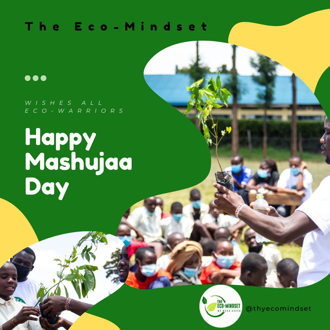 To all consevationists out there we celebrate you today.

You are our heroes!!!

From The Eco-Mindset team we wish you all a #HappyMashujaaDay2021

#MASHUJAA2021
