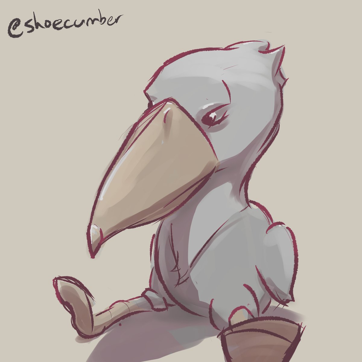 shoecumber's tweet photo. shoebill https://t.co/0CvDEjJxCD