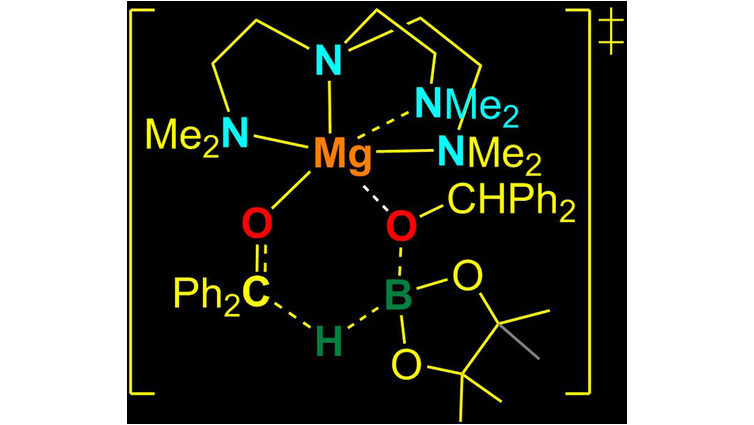 EurJIC's tweet photo. Maron, Venugopal and co-workers report the catalytic activity of magnesium alkoxides in ketone hydroboration @tvmiiser @maintvm @INSAToulouse #TeamMainGroup https://t.co/Zpjmvatd4W https://t.co/guuztVmzJG
