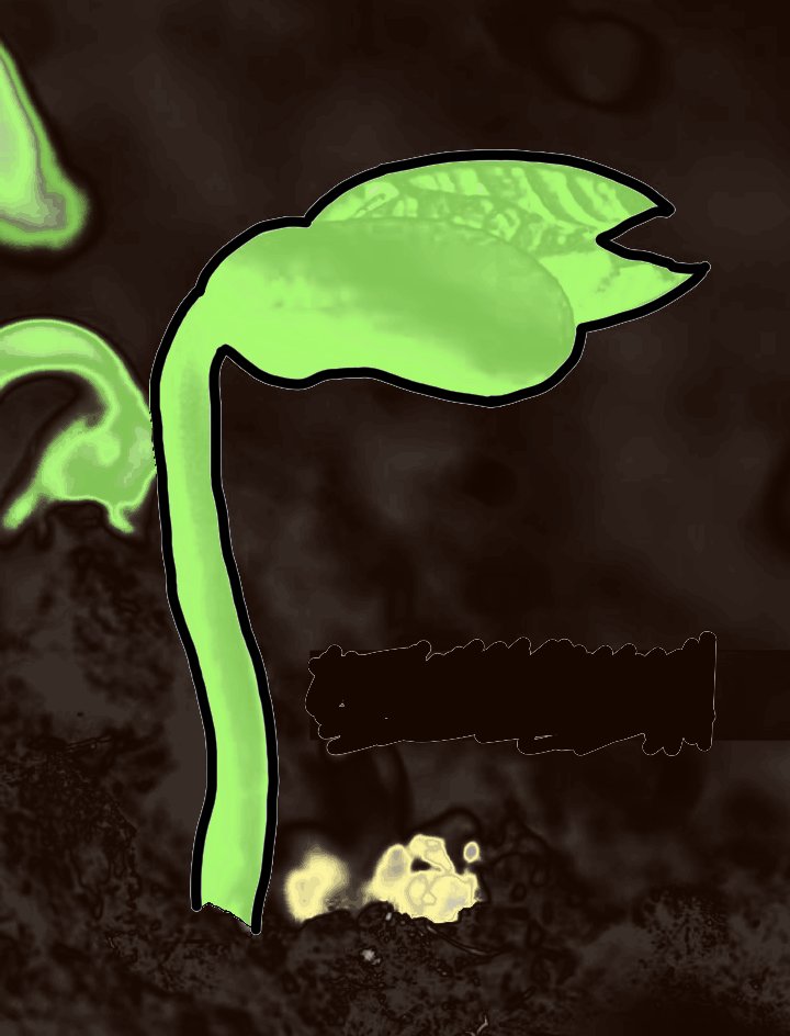 TheRaccoonKH's tweet photo. #Inktober day 20: Sprout
I wanted to try doing more, but I slept awfully and work is brutal, so the lazy way it is 🤷🏻♀️
#inktober2021 #inktober2021day20 #locktober #painterapp #DigitalArt #DigitalDoodle #DigitallyTraced https://t.co/fZU03SnIRG