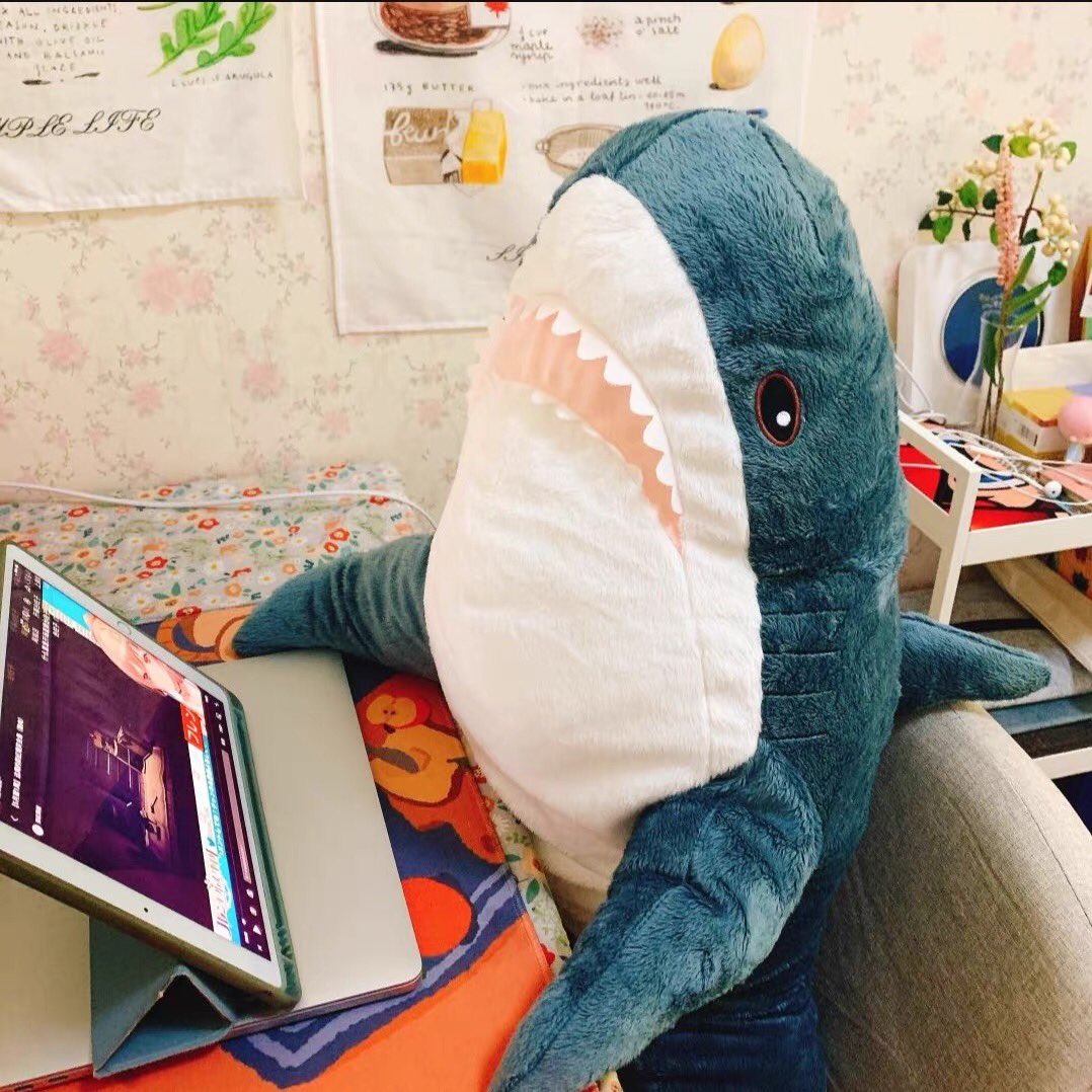 เกิน 24 ชม. ไม่มีคนตอบ dm ทักซ้ำได้เลยค่า 🙇🏻♀️ tweet media