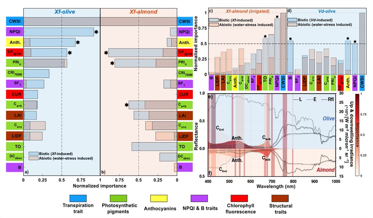 ZarcoTejada's tweet photo. Our latest publication in @NatureComms reveals with hyperspectral images the existence of divergent pathogen- and host-specific spectral pathways for #Xylella. Uncoupling the biotic vs water-stress spectral dynamics leads to 92% accuracy across species.
https://t.co/nGDZGjSNTq https://t.co/BfxRU701sa