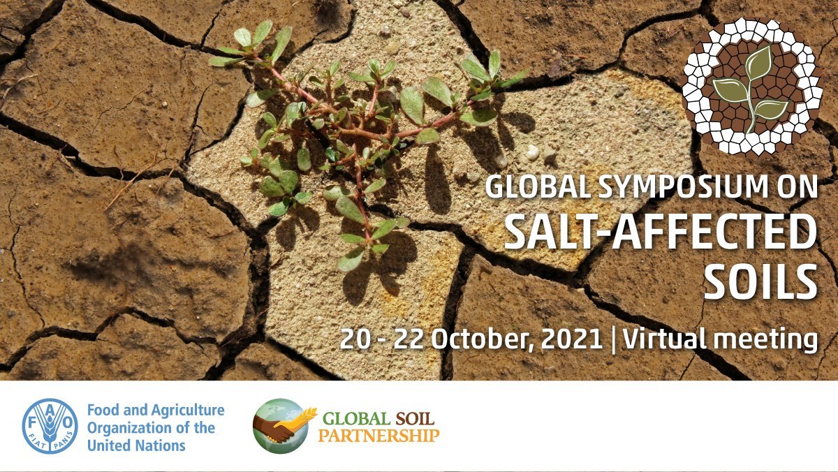 FAOKnowledge's tweet photo. Starting now! Global Symposium on #SoilSalinization.
🌱It is your chance to learn more about salt-affected soils & why their sustainable management is fundamental to food security.
Tune in live here 👉https://t.co/kOTeSqb3DK
#GSAS21 https://t.co/5H5YlX6EC5