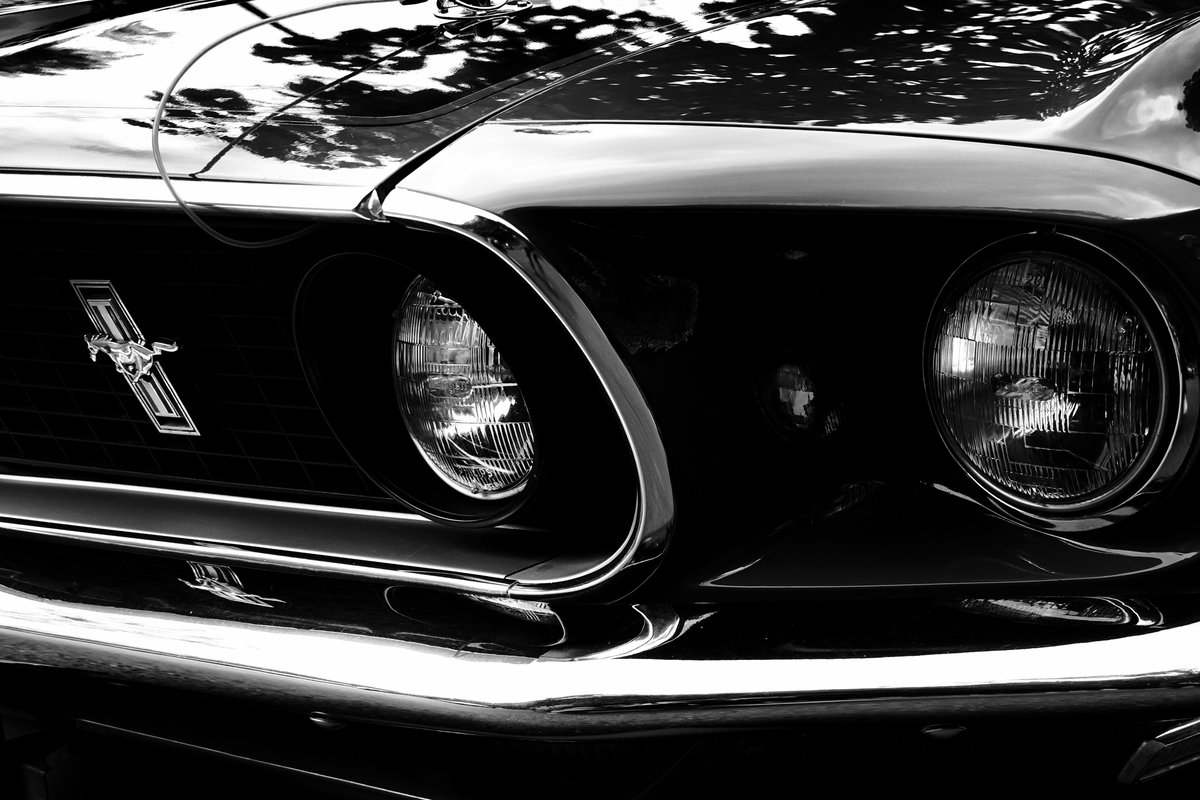 OlavCresp's tweet photo. "Educated Horses" by @OlavCresp 

#photography #Photographie #Mustang #mustangcar #musclecars #blackandwhitephotography #blackandwhitephoto #classiccars #mustanglovers https://t.co/7jT4QS32yG