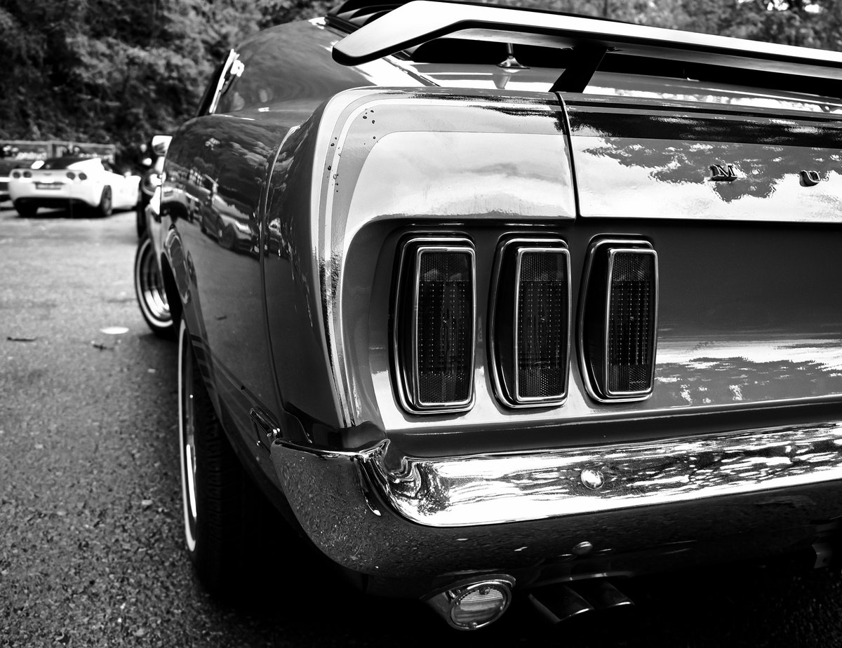 OlavCresp's tweet photo. "Educated Horses" by @OlavCresp 

#photography #Photographie #Mustang #mustangcar #musclecars #blackandwhitephotography #blackandwhitephoto #classiccars #mustanglovers https://t.co/7jT4QS32yG