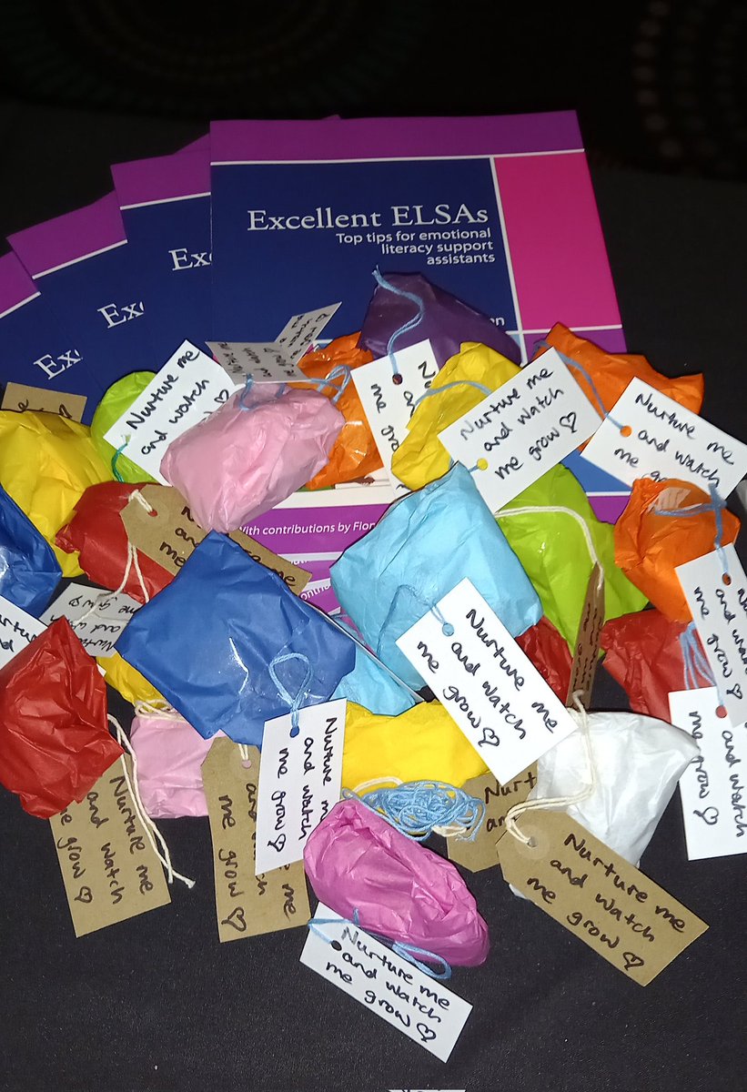 viola_jane's tweet photo. Final ELSA training session of the latest round - what an absolute joy to work and learn with this cohort. So much care and talent in Telford &amp;  Wrekin schools! A little gift of a simple bulb for each ELSA to nurture &amp; grow #ELSArocks #twitterEPs https://t.co/j2vu43EocZ