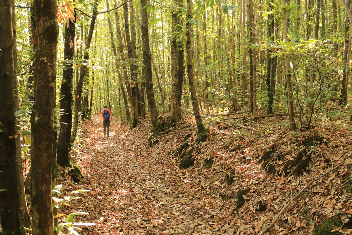 Que faire pendant les vacances scolaires de la Toussaint en #Vendeevallee Pays du Bocage Vendéen ? 
Une visite au <a href="/PuyduFou/">Puy du Fou</a> 💃
Une balade #petitescitésdecaractère 🏡
Une activité en pleine nature 🍁🍄🌰
Retrouvez nos idées 👉vendeevallee.fr/les-vacances-d…
#Vacances #automne