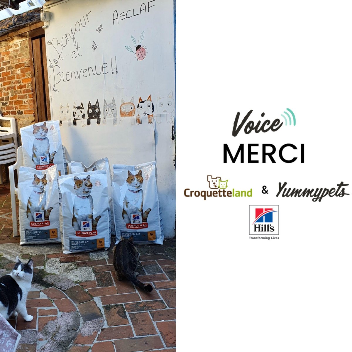 L'Association ASCLAF a reçu ses 75kg d'alimentation grâce à nos partenaires <a href="/CroquetteLand/">Croquetteland</a> et <a href="/hillspet/">Hill's Pet Nutrition</a>. Merci pour vos clics solidaires. 🙏 

N'oubliez pas de soutenir les associations du mois d'octobre : fr.yummypets.com/voice.