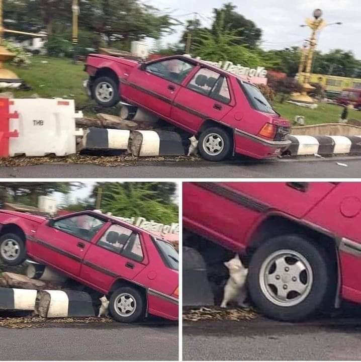 PuteriAllisha's tweet photo. Mujur tau adiik tahan kalau tak masuk longkang https://t.co/5bhRjsAScq