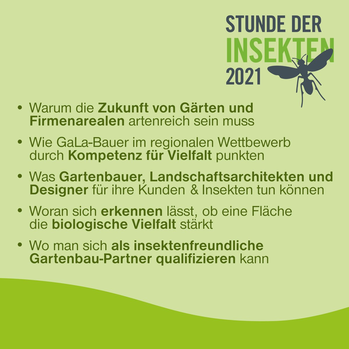 InsectRespect's tweet photo. #StundederInsekten am 24.11.21:
„Lasst uns tausende Lebensräume für die wertvollen Sechsbeiner schaffen“
Oliver Meyer, Leiter von #Insectemy, ist gelernter #Landschaftsgärtner und studierte #Landschaftsbau und den MBA Sustainability Management.
Anmeldung: https://t.co/0ox5RfxfRy https://t.co/pnbzfCBri6