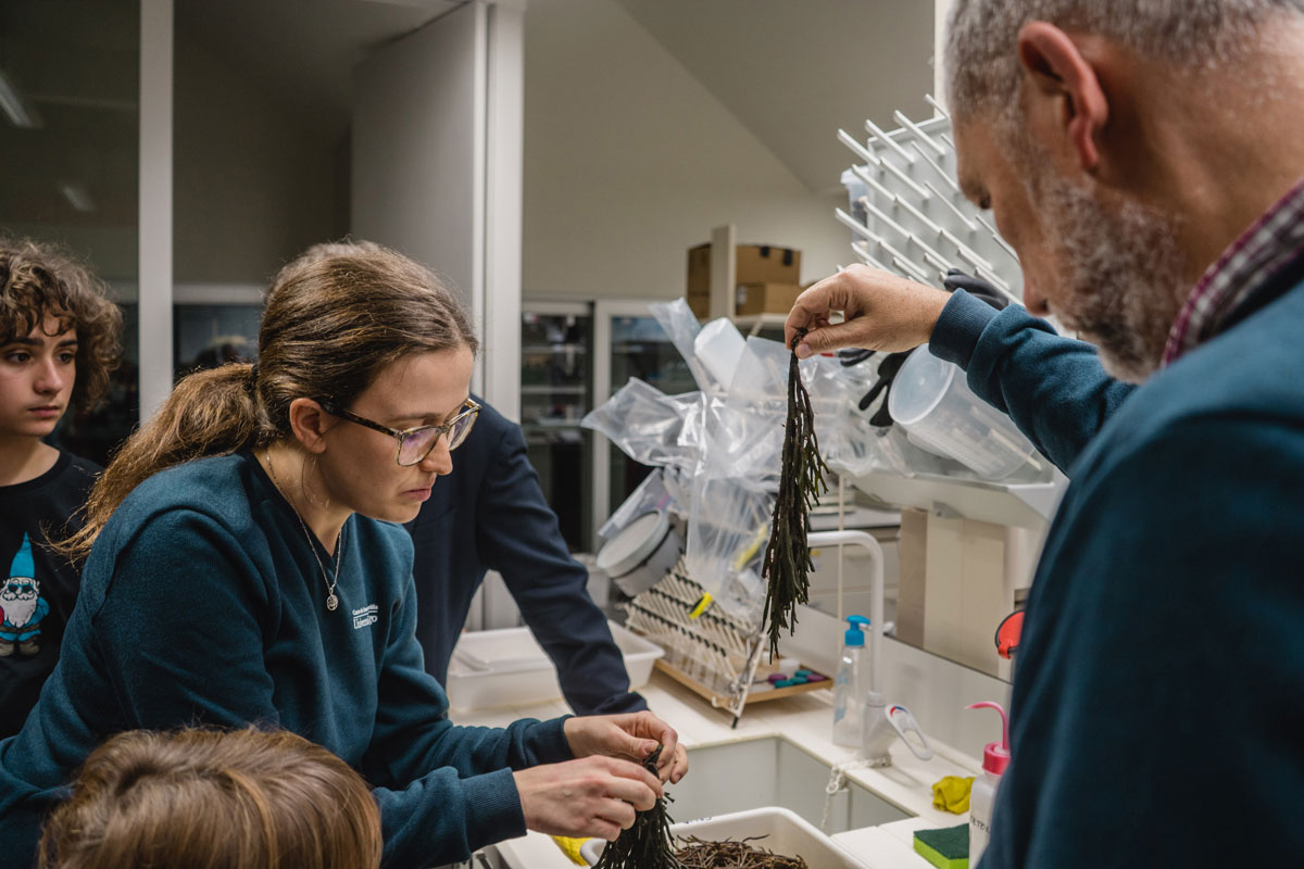 ⏳ Conta atrás para as nosas xornadas de portas abertas! Actividades de balde para coñecer instalacións e grupos de investigación tanto na #ECIMAT como nos campus de Vigo e Ourense. ⬇️
cim.uvigo.gal/2021/10/o-cim-…

✍️ Inscricións 👉 cienciasingular.gal/cim-21/

#fondosFEDER #FEDERGalicia