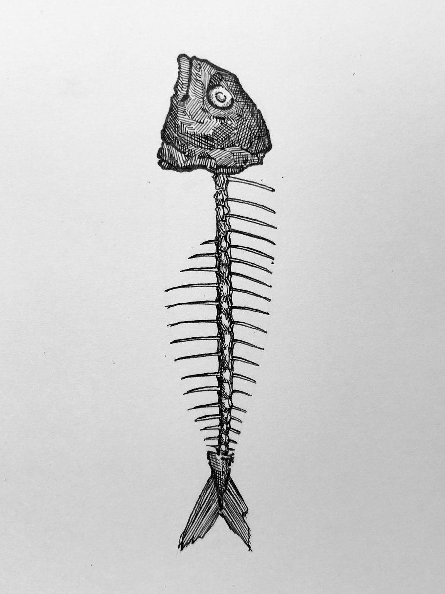 Twoucan 魚の骨 の注目ツイート イラスト マンガ Twoucan 魚の骨 の注目ツイート イラスト マンガ